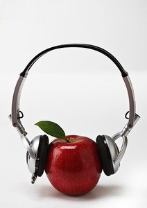 阜新蒙古族自治縣氣體放電燈有限責任公司